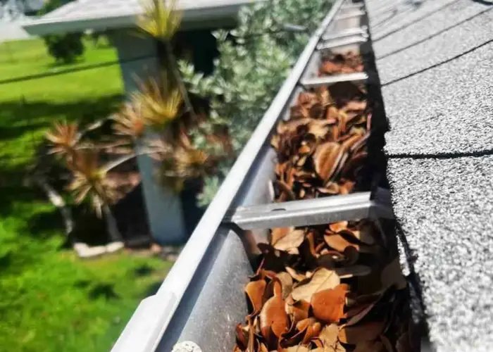 Palmer Lake gutter cleaning home page